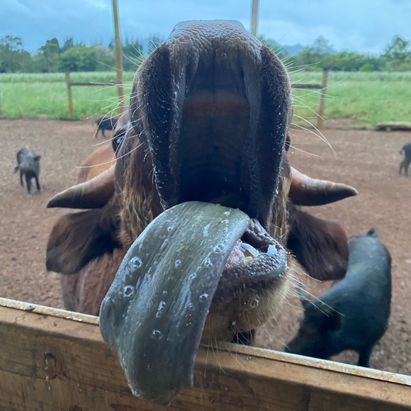 Meet your Posher, Larry - Picture 5 of 12